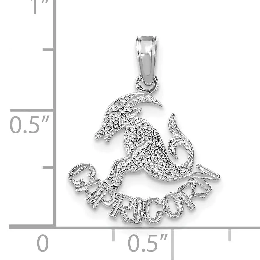 14K White Gold Polished Textured Finish Zodiac CAPRICORN Charm Pendant