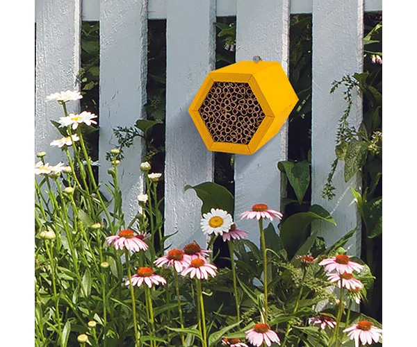 Honeycomb Modular Mason Bee House