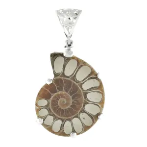 Starborn Pyrite Inlaid Ammonite Pendant in Sterling Silver with Filigree Bale