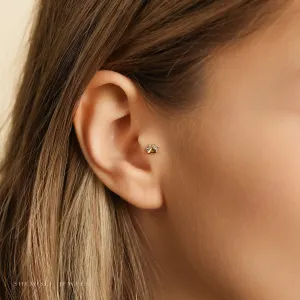 Tiny Paw Threadless Flat Back Tragus Stud, 20,18,16ga, 5-10mm Unisex, Surgical Steel SHEMISLI SS887